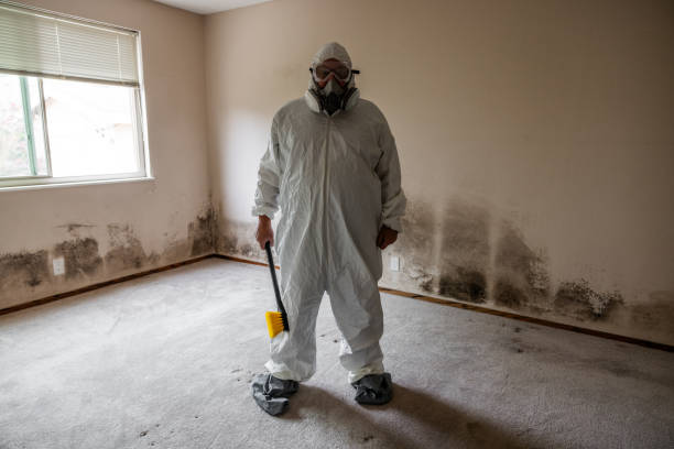 Crawl Space Mold Removal in Lilburn, GA